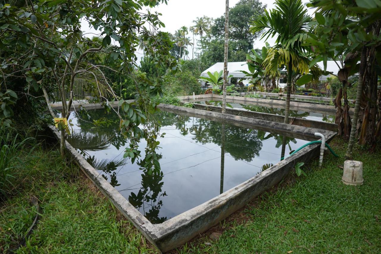 Carmel Tourism Village Kotamangalam Exterior foto